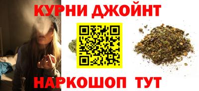 ешки Кингисепп