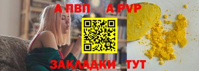ешки Кингисепп
