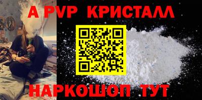 ешки Кингисепп