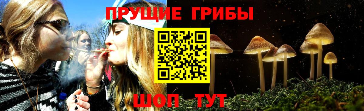 Новоалтайск  Псилоцибиновые грибы GOLDEN TEACHER  Вход с VPN 